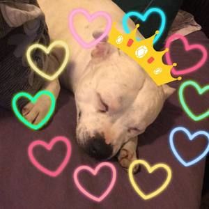 Meet your Posher, Phong